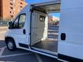 Fiat Ducato Fg. 35 2.0Mjt LPEGR Corto 85kW Blanc - thumbnail 4
