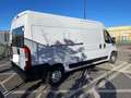 Fiat Ducato Fg. 35 2.0Mjt LPEGR Corto 85kW Blanc - thumbnail 3