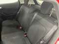Ford Fiesta Fiesta VII 2022 5p 5p 1.1 Titanium Gpl 75cv Rood - thumbnail 12