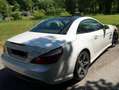 Mercedes-Benz SL 500 SL 500 7G-TRONIC Blanc - thumbnail 18