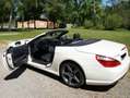 Mercedes-Benz SL 500 SL 500 7G-TRONIC Blanc - thumbnail 5