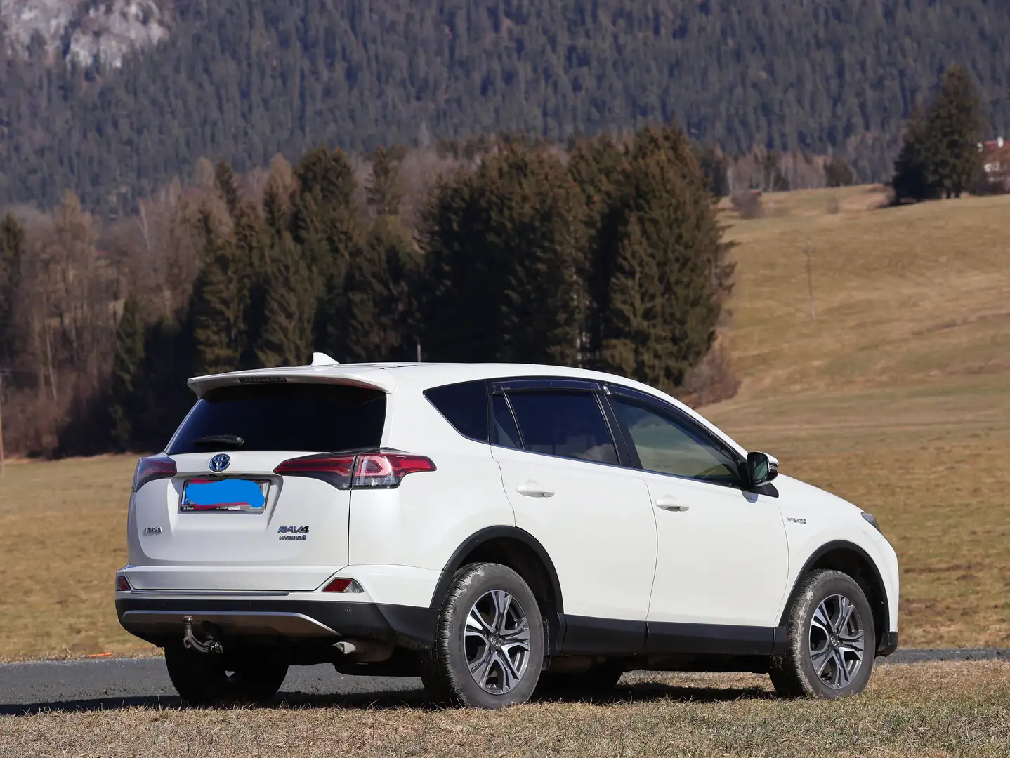 Toyota RAV 4 RAV4+2,5+Hybrid+Active+2WD+Aut+Sommer/Winterreifen Weiß - 1