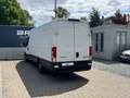 Iveco Daily Kasten HKa 35 S 16 V Automatik L4H2 EU6 Blanco - thumbnail 18