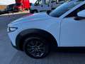 Mazda CX-30 2.0 m-hybrid Evolve 2wd 122cv 6mt Blanc - thumbnail 14