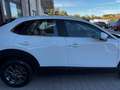 Mazda CX-30 2.0 m-hybrid Evolve 2wd 122cv 6mt Blanc - thumbnail 7
