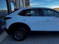 Mazda CX-30 2.0 m-hybrid Evolve 2wd 122cv 6mt Blanc - thumbnail 6