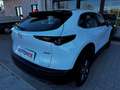 Mazda CX-30 2.0 m-hybrid Evolve 2wd 122cv 6mt Blanc - thumbnail 19
