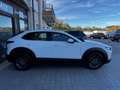 Mazda CX-30 2.0 m-hybrid Evolve 2wd 122cv 6mt Blanc - thumbnail 5