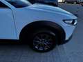 Mazda CX-30 2.0 m-hybrid Evolve 2wd 122cv 6mt Blanc - thumbnail 8
