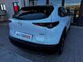 Mazda CX-30 2.0 m-hybrid Evolve 2wd 122cv 6mt Blanc - thumbnail 21