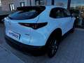 Mazda CX-30 2.0 m-hybrid Evolve 2wd 122cv 6mt Blanc - thumbnail 20