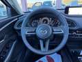 Mazda CX-30 2.0 m-hybrid Evolve 2wd 122cv 6mt Blanc - thumbnail 38