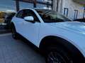 Mazda CX-30 2.0 m-hybrid Evolve 2wd 122cv 6mt Blanc - thumbnail 9
