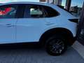 Mazda CX-30 2.0 m-hybrid Evolve 2wd 122cv 6mt Blanc - thumbnail 12