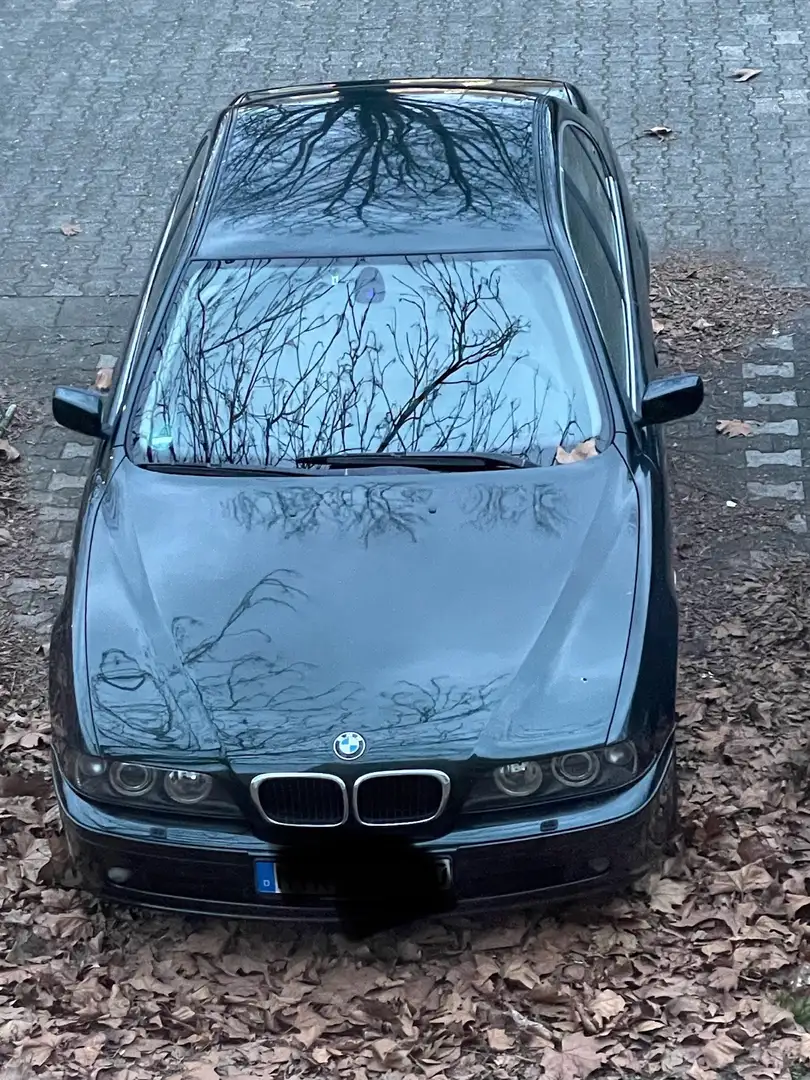 BMW 530 530i Grün - 1