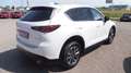 Mazda CX-5 G165 e-Skyactiv MHEV Homura Aut. Weiß - thumbnail 3