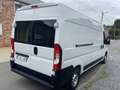 Fiat Ducato 2.0 Multijet L3 h2 , 60.000km Blanc - thumbnail 5
