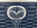 Mazda CX-60 2.5 e-SkyActiv PHEV Homura Business Edition Automa Bruin - thumbnail 36