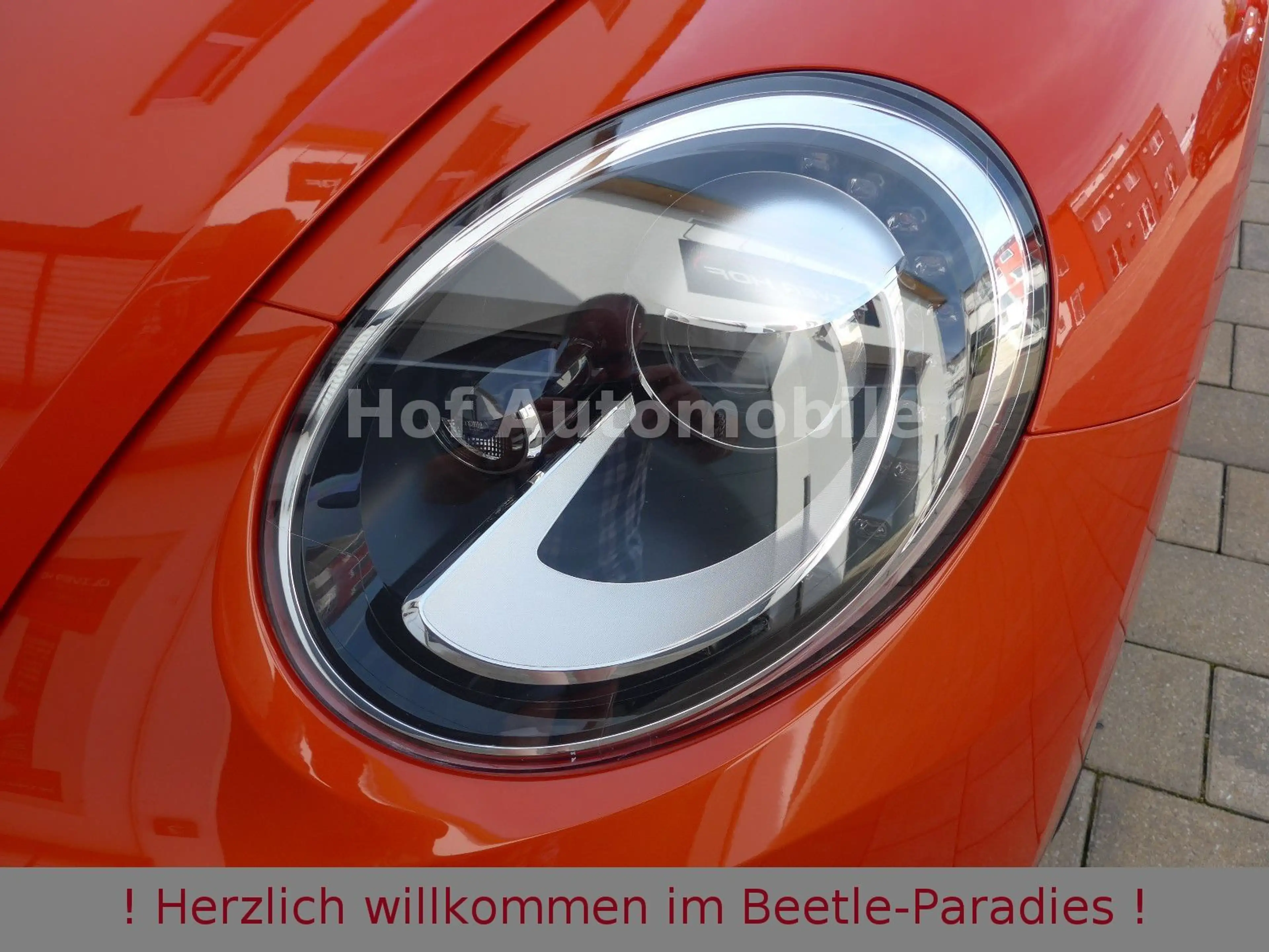 Volkswagen Beetle 1.4TSI DSG Club-Plus Xenon Kamera AppCon — photo 13