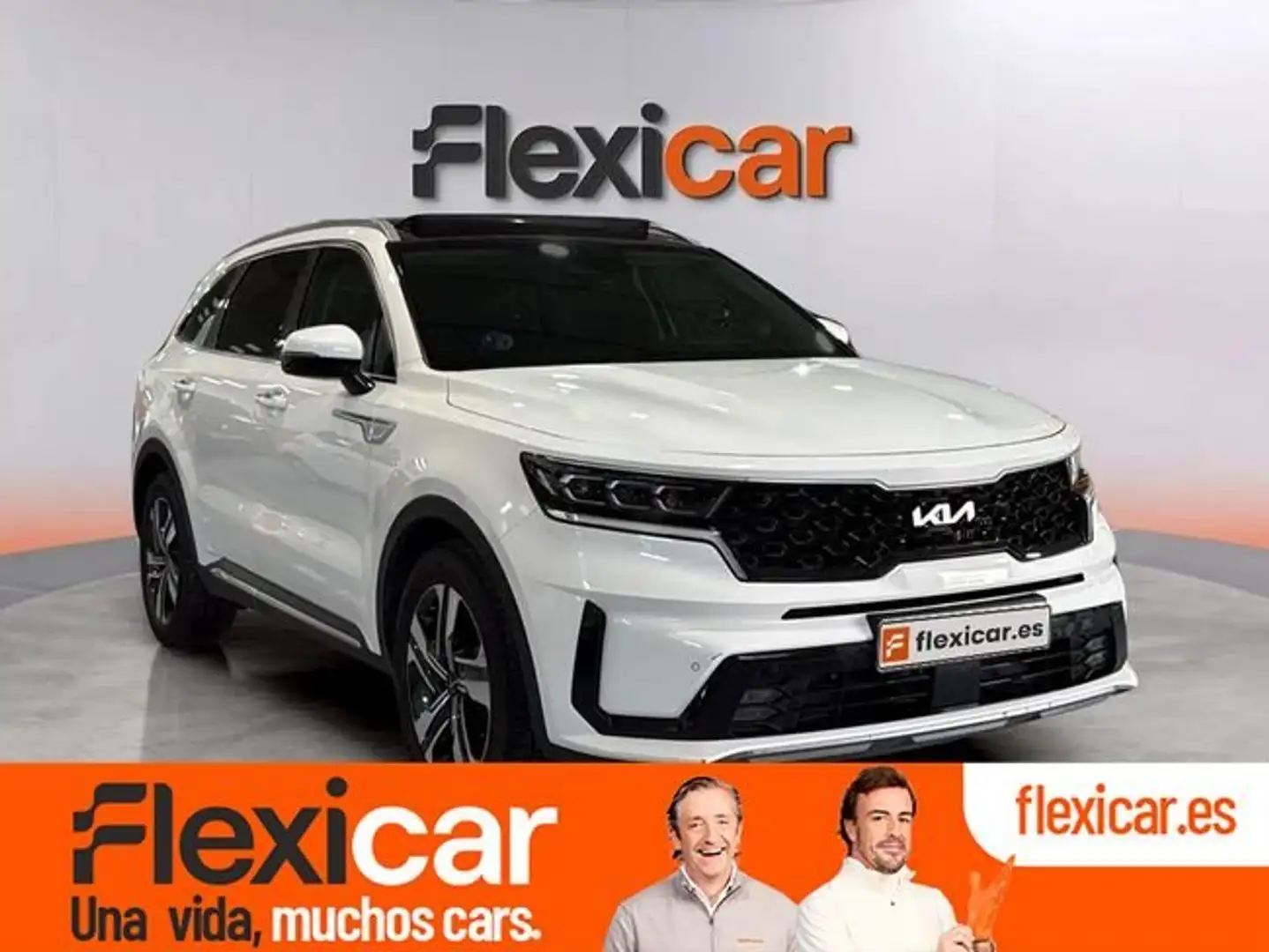 Kia Sorento 1.6 T-GDi HEV Plus Edition 4x2 Blanco - 1