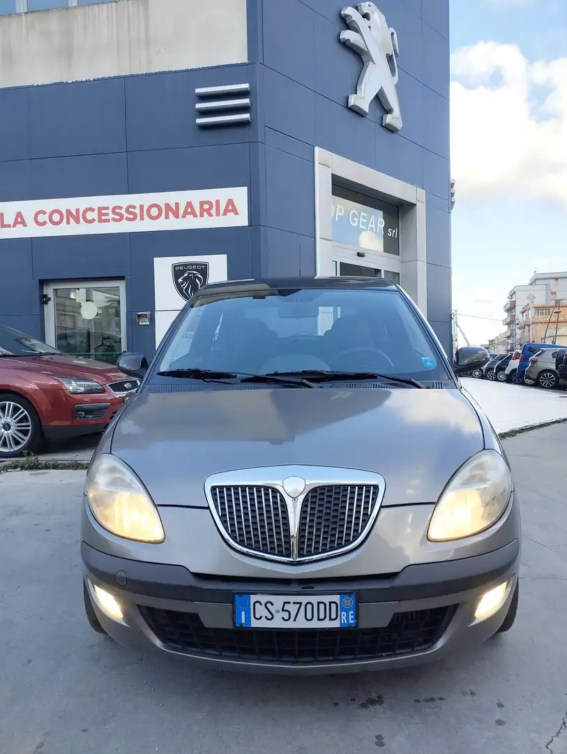 Lancia Ypsilon Ypsilon 1.3 mjt Argento dfn Brons - 2