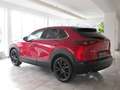 Mazda CX-30 e-Skyactive G122 Homura Modelljahr 2024 Rot - thumbnail 10
