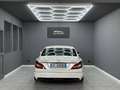 Mercedes-Benz CLS 250 CLS Berlina - C218 d (bt) Premium auto Weiß - thumbnail 5