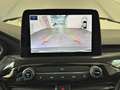 Ford Kuga 2.5 Benzina FHEV 190CV AWD ST-Line Aut Gris - thumbnail 14