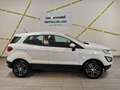 Ford EcoSport 1,0 EcoBoost Trend Weiß - thumbnail 3