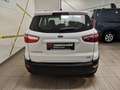 Ford EcoSport 1,0 EcoBoost Trend Weiß - thumbnail 5