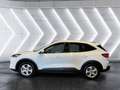 Ford Kuga 2.5 Plug-in-Hybrid ''Cool & Connect'' Navi Sitzhei Weiß - thumbnail 3