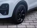 Kia Sportage 1.6 GDI 2WD Black Edition Weiß - thumbnail 7