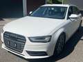 Audi A4 A4 Avant 3.0 TDI DPF quattro Ambition - thumbnail 4