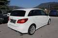 Mercedes-Benz B 200 d 4MATIC Aut.AMG Line*** Weiß - thumbnail 7