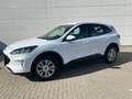 Ford Kuga Cool & Connect *LED*Sitzhzg.*NAVI**Allwette Weiß - thumbnail 4