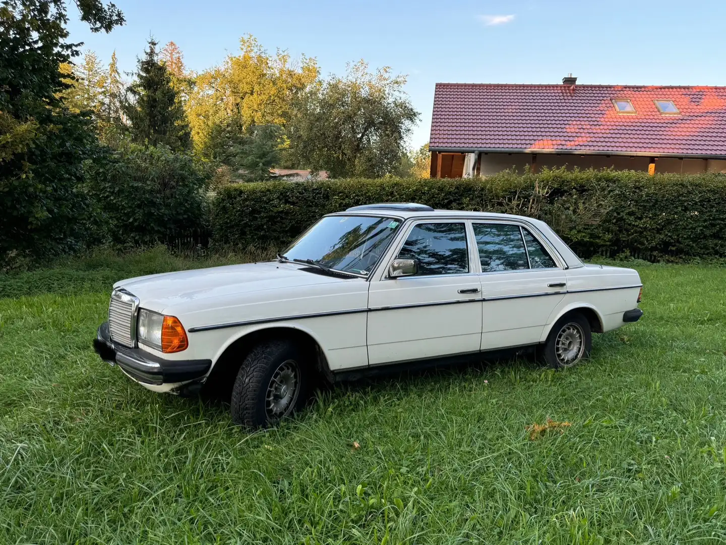 Mercedes-Benz 230 E (W 123) - 1