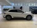 Porsche Macan 2.0 T Bianco - thumbnail 6