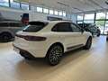 Porsche Macan 2.0 T Bianco - thumbnail 5