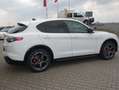Alfa Romeo Stelvio Veloce Q4 Technologie/Premiumpaket/ACC/DAB/LED/NAV Weiß - thumbnail 3