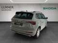 Skoda Karoq 4x4 Sportline TDI DSG Grau - thumbnail 5