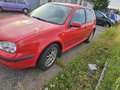 Volkswagen Golf 1.6 Rot - thumbnail 4