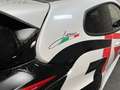 Toyota Yaris GR High Performance "JARNO TRULLI EDITION" Bianco - thumbnail 12