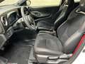 Toyota Yaris GR High Performance "JARNO TRULLI EDITION" Bianco - thumbnail 14