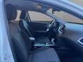 Kia Ceed SW / cee'd SW Ceed SW 1.6 CRDi SCR ISG Platin Weiß - thumbnail 17