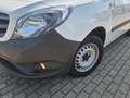 Mercedes-Benz Citan 108 CDI Kasten lang KLIMA FLÜGEL EU6d-Temp LKW Weiß - thumbnail 14