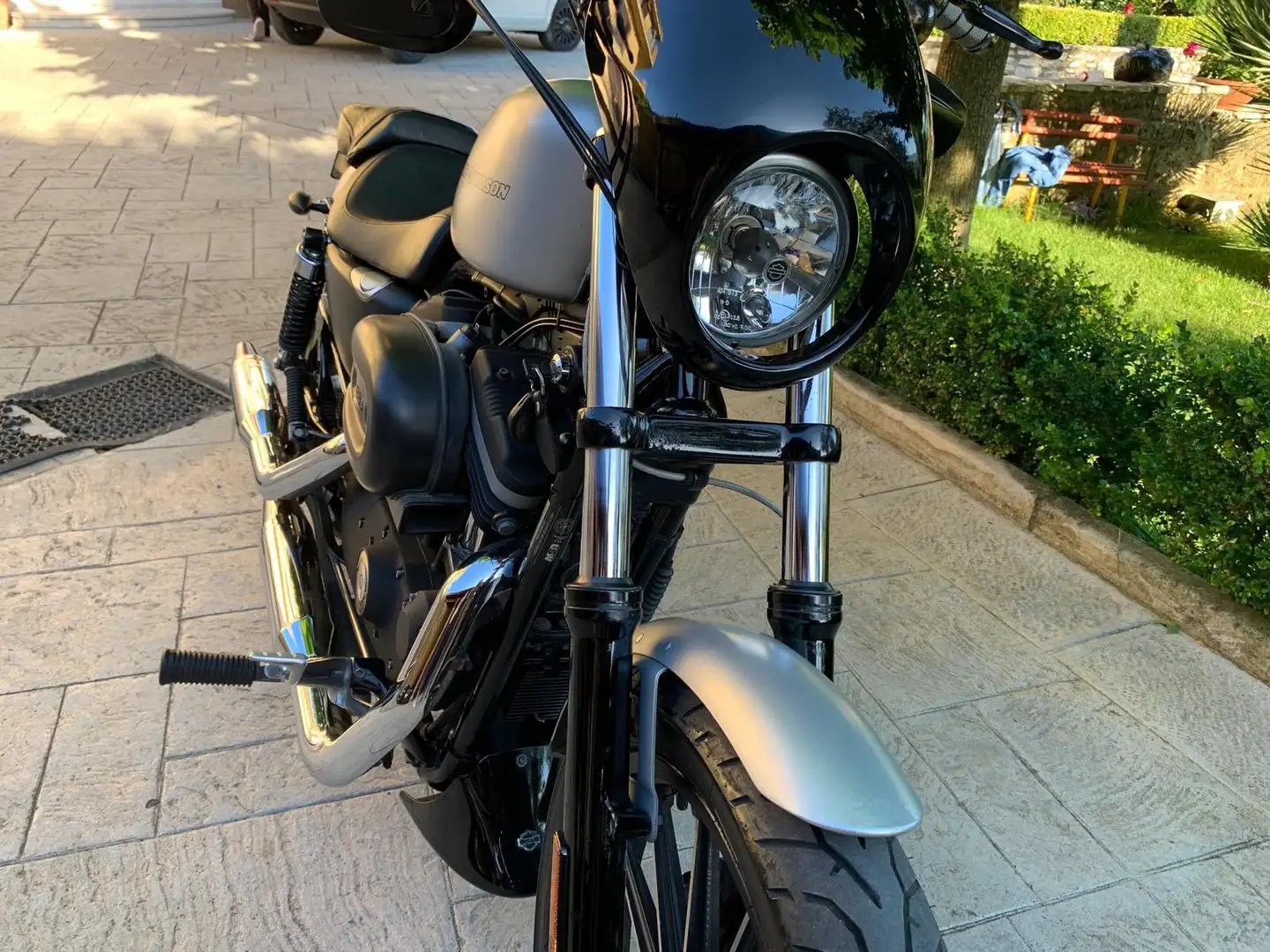 Harley-Davidson Iron 883 Argento - 2