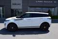 Land Rover Range Rover Evoque Range Rover Evoque 2.0D I4 163 CV AWD Auto R-Dyna Bianco - thumbnail 4