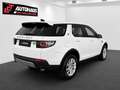 Land Rover Discovery Sport 2,0 SD4 4WD SE Aut. | 1.BESITZ | Weiß - thumbnail 6