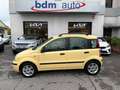 Fiat Panda Panda II 2003 1.2 Emotion* OK NEOPATENTATI* Giallo - thumbnail 2