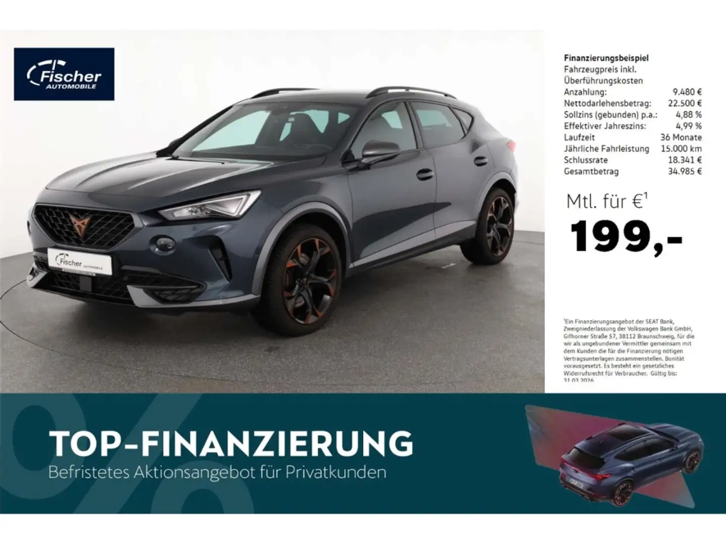 CUPRA Formentor 2.0 TSI 4Drive VZ Grau - 1